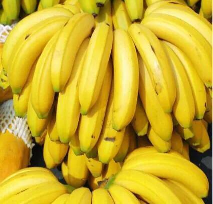 香蕉的种子科普视频,香蕉科普