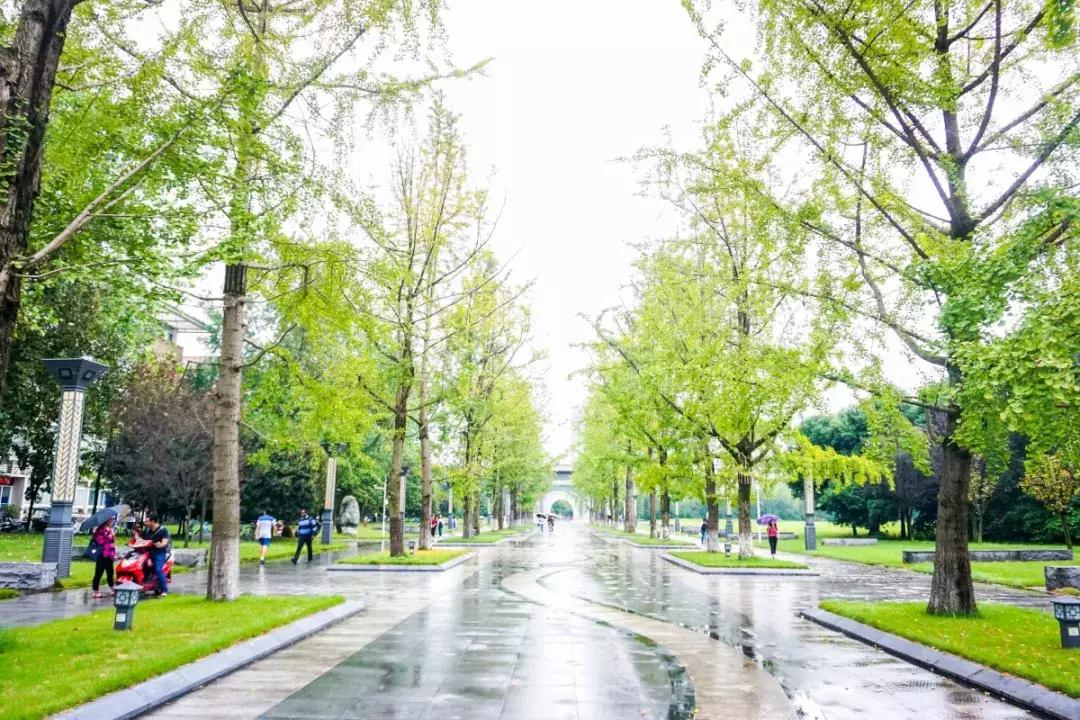 四川最有钱的5所大学,四川最有钱的大学排名