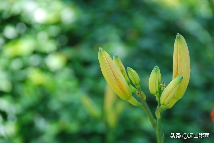 植物科学活动,第二十届公众科学日合肥