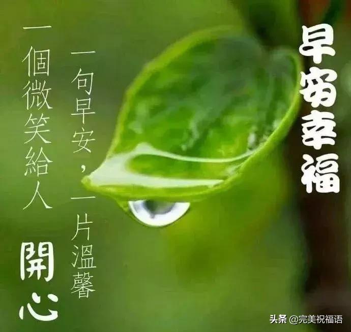 朋友圈最美早上好问候祝福语,最新早上好暖心祝福问候语句简短