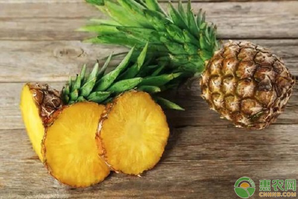 菠萝黑心褐化怎么回事,菠萝黑心怎么处理