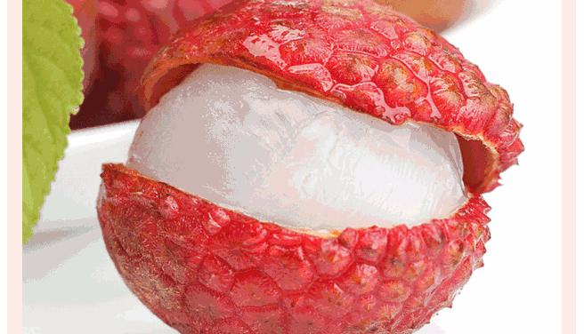 荔不从心！古人为了实现荔枝自由到底有多拼命？（菲李漫画）