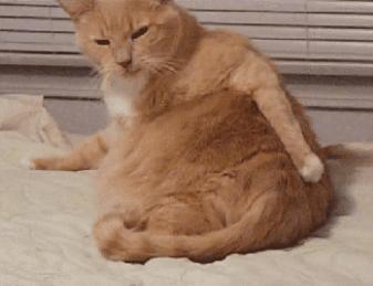 粉尘过敏过敏源有哪些,过敏高发期怎么预防哮喘