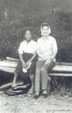 这部《人民日报》安利的“黄片”,揭露了近代日本最羞耻的一面