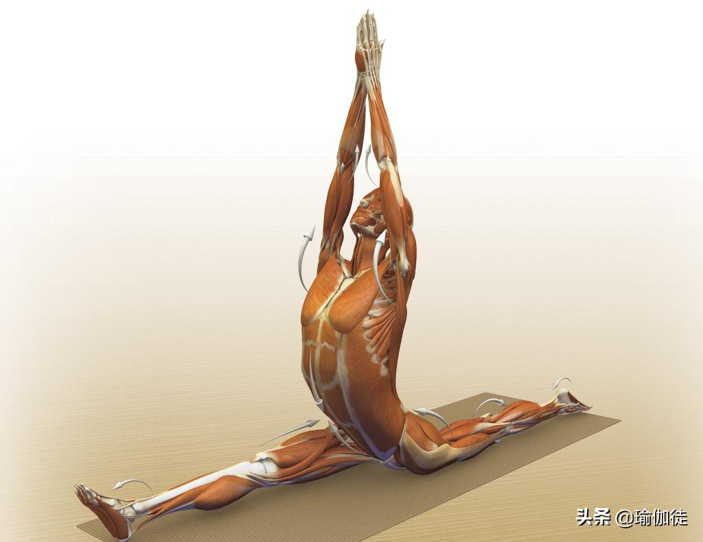 劈叉时劈不下去怎么办,成年人怎么练习劈叉不受伤