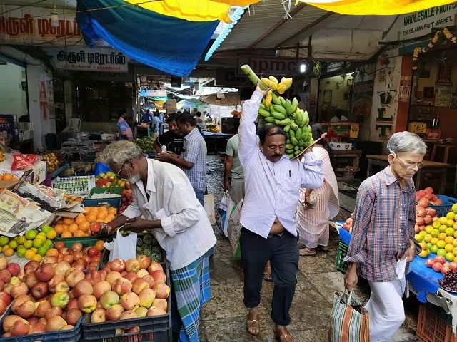 进博会印度今年有什么产品,印度人评进博会带货