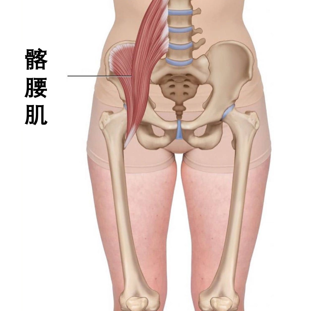 竖叉臀部总是歪一边,练横叉竖叉会让臀部变小吗