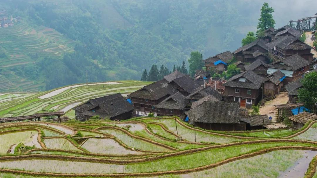 五一哪里去西安机票便宜,八月西安出发哪里机票便宜