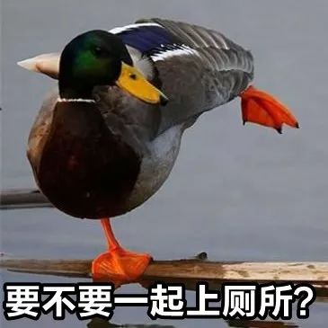 科学家段子手,科学家集体辞职是怎么回事