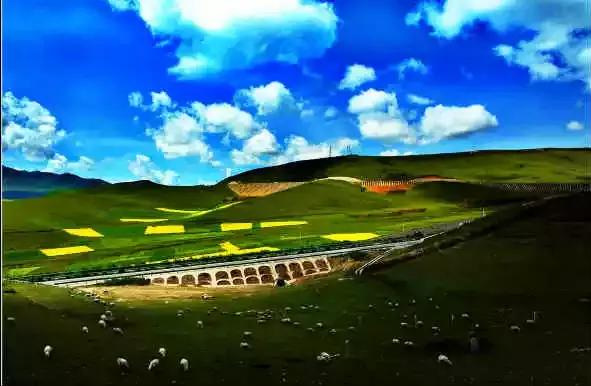 全国各地的特产带货,全国各地特产礼品有哪些