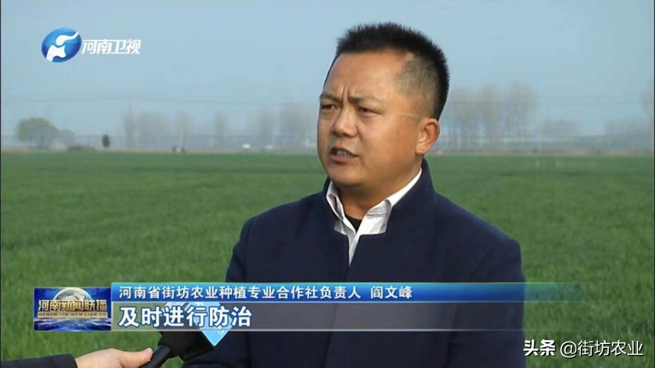 乡村振兴农副产品市场项目计划书,优质农产品出州助力乡村振兴