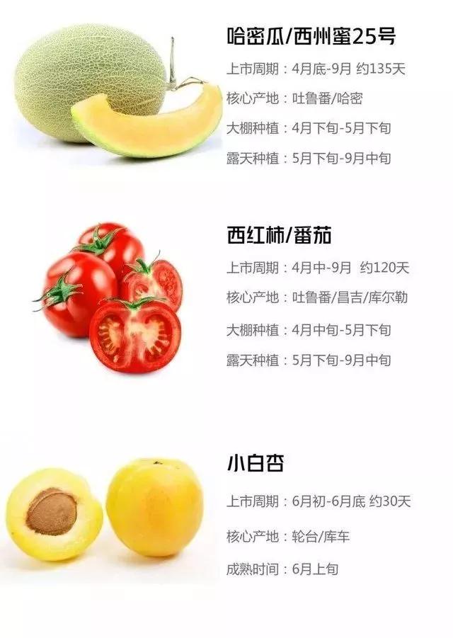 新疆的瓜果几月份成熟,新疆目前应季水果