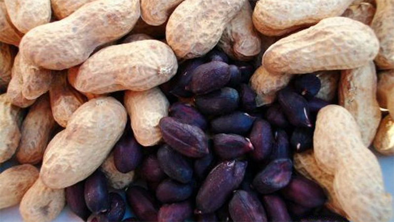 石家庄特产正宗安徽牛肉面,石家庄正定县十大特产