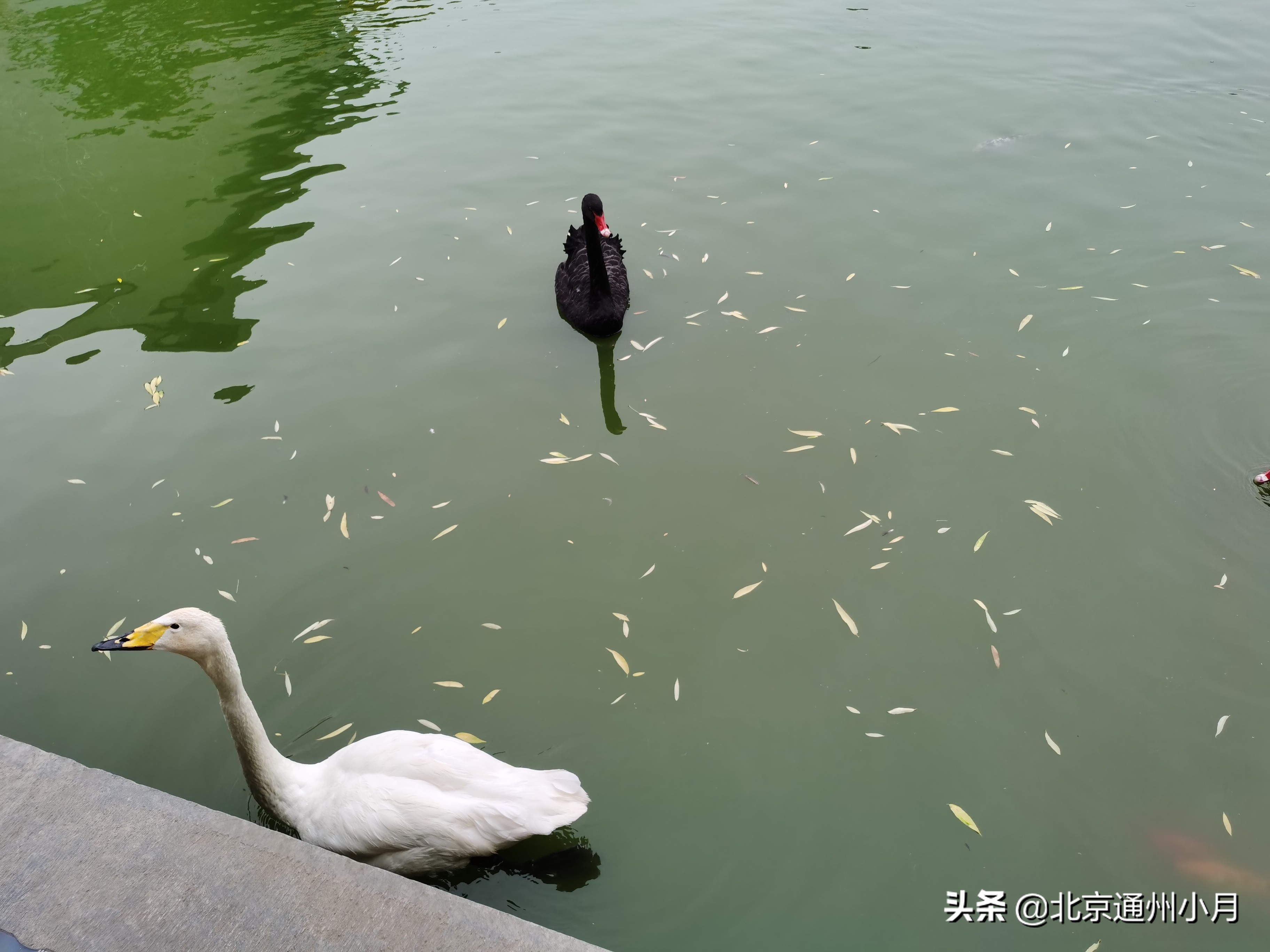 北京适合遛娃的公园,北京户外遛娃好去处冬天