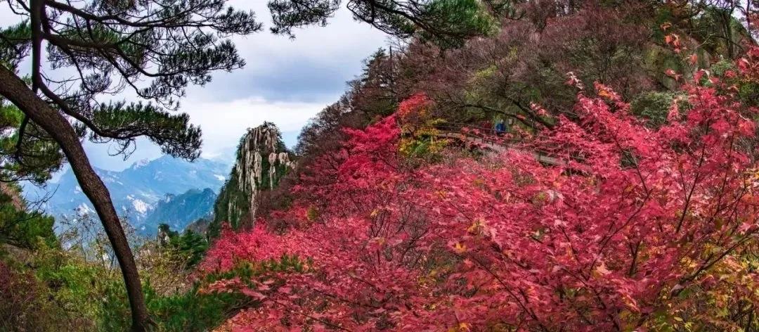 每日景点,河南小众旅游尧山