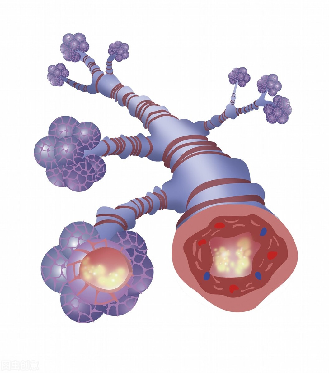 「张久军医生」中医调治老慢支、慢阻肺的典型病例