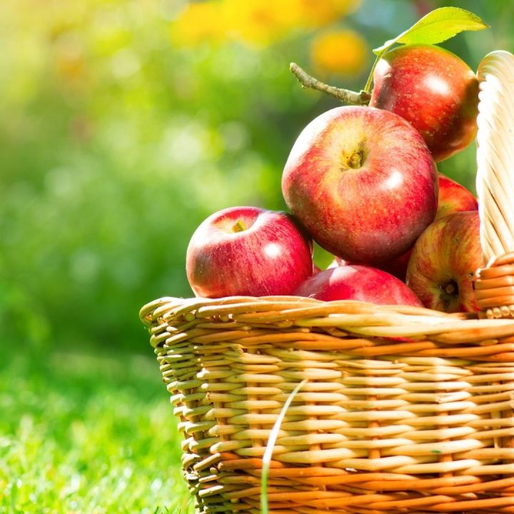 水果杂交冷知识,你不知道的水果冷知识