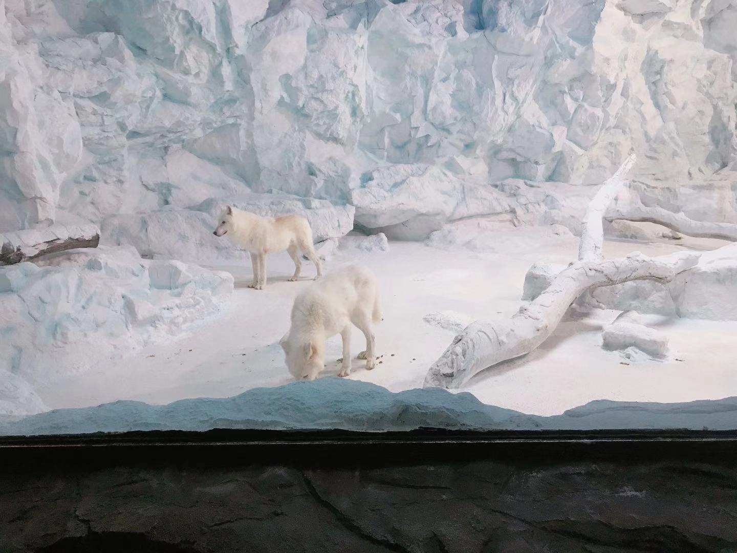 珠海长隆海洋王国亲子攻略2岁,亲子珠海长隆海洋王国一日游攻略