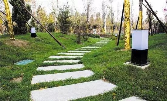 郑州的世界之最,郑州有哪些能长见识地方