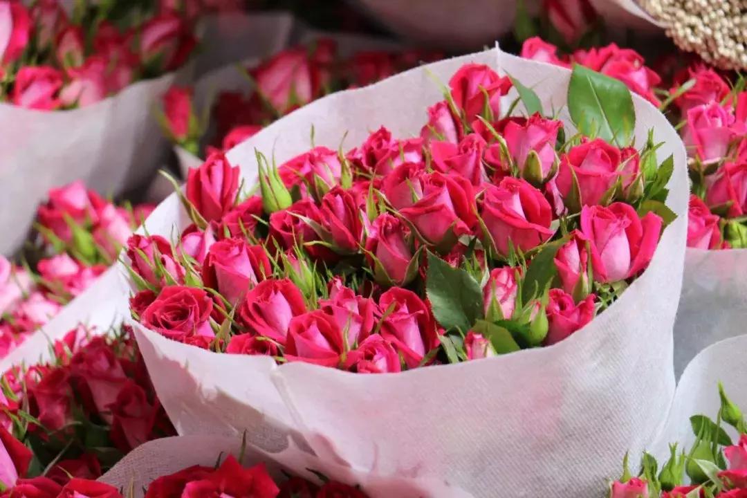 郑州三大花卉市场都是哪个,郑州哪个花卉市场最全