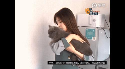 《1818黄金眼》素人造星厂吧！帅哥含量高，靓过小张的太多了