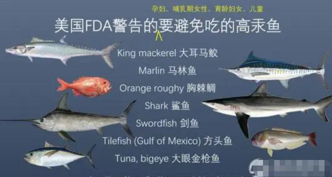 孕妇不能吃哪些食物对胎性有影响,孕妇初期吃得少会影响宝宝吗