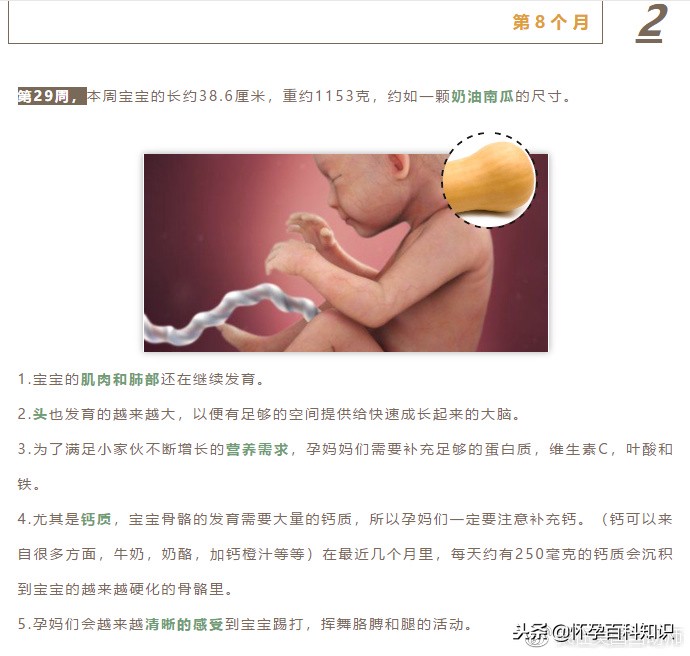 怀孕各个时期胎儿发育过程,怀孕的过程要几天