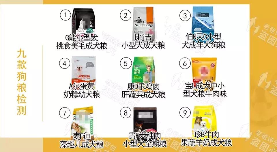 男人女人小孩咱都说过了,今天来说说这个重要家庭成员