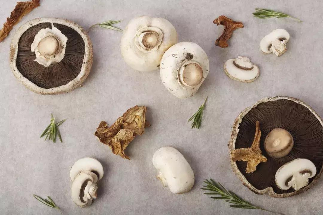 铇戣弴鐑疆,鑿岀被鏂板搧