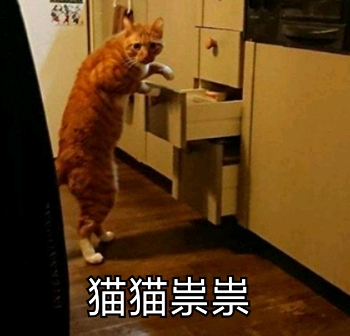 龙猫是不是就是仓鼠,龙猫dragon
