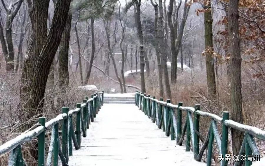 2019最后一个月，山东也太有戏了吧！这些爆款剧演，真怕你错过