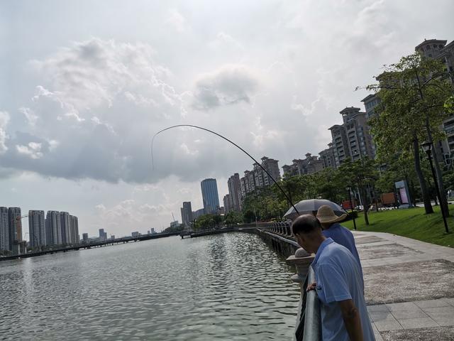 冬天筏竿钓土鲮,筏竿钓大土鲮