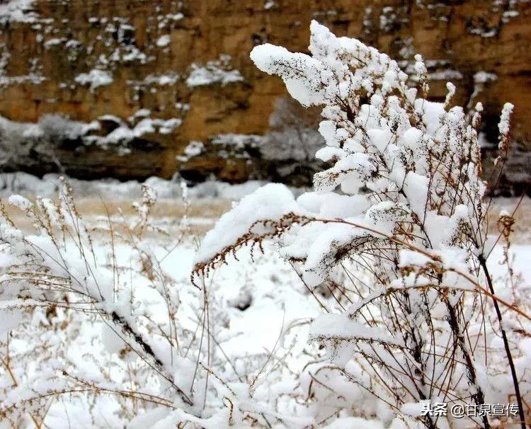延安2019年第一次下雪是什么时候,延安初雪的时候