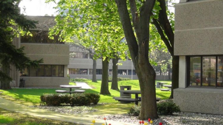 戴尔豪斯大学是一个怎样的存在？