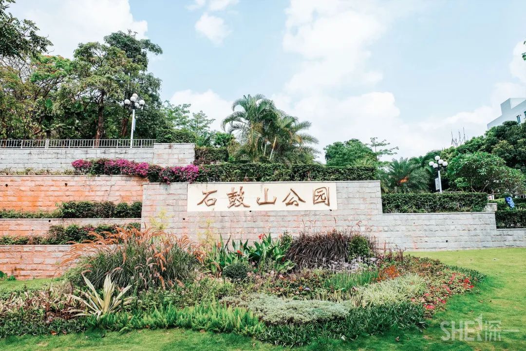 疫情期间免费开放的公园,疫情期间开放的公园有哪些