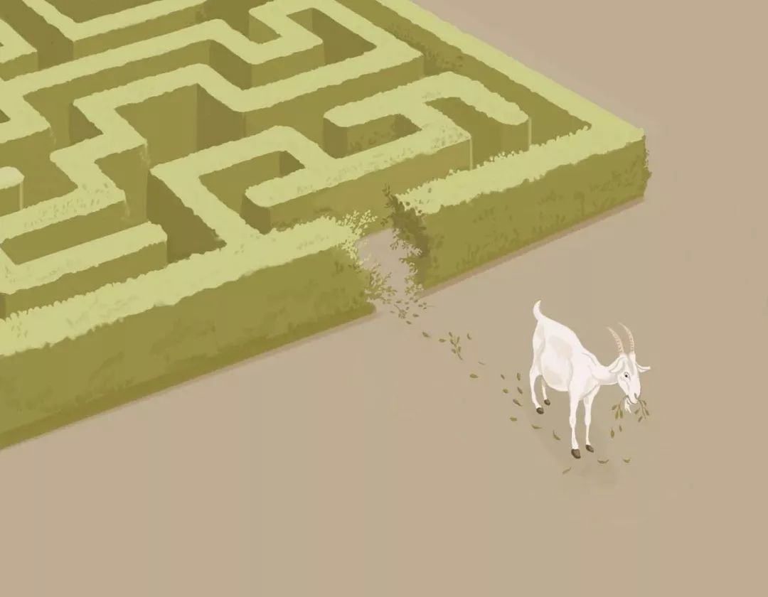 加密货币投资机会,加密货币投资笔记