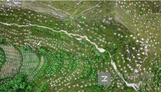 贵州脱贫攻坚五大产业,脱贫攻坚贵州