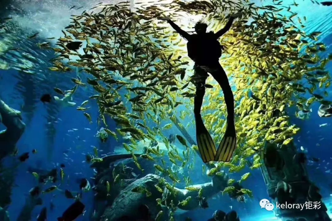 长沙市发布高温黄色预警,黄色高温预警是多少度