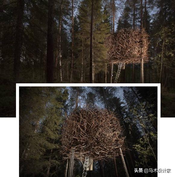 南通树屋酒店,森林树屋酒店