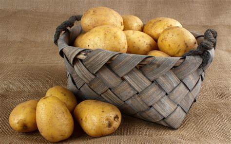 土豆高产的秘诀,土豆打叉高产还是不打叉高产