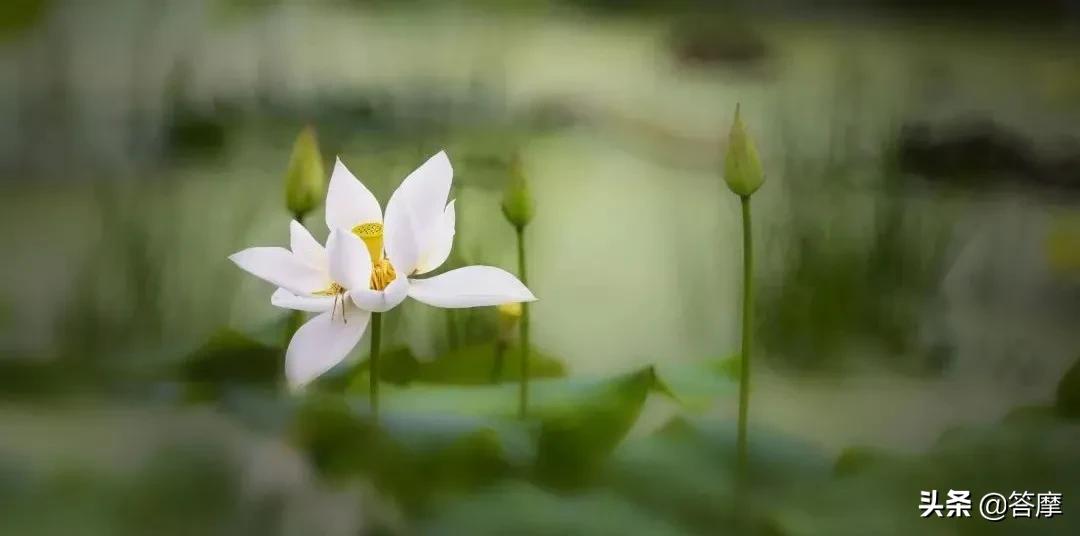 针灸情绪调节,针灸哪个穴位可以调节情绪