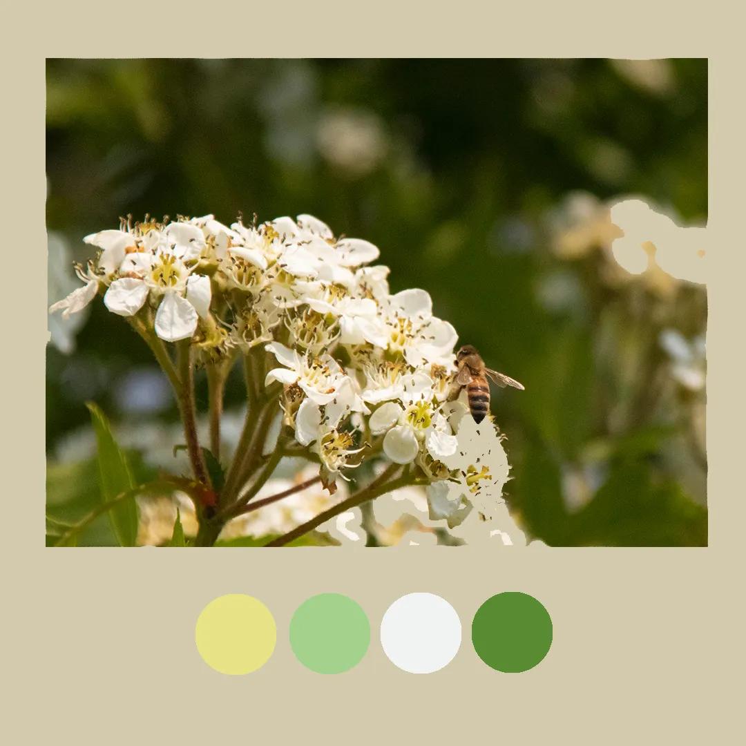 色彩里的构图,色彩中的光感