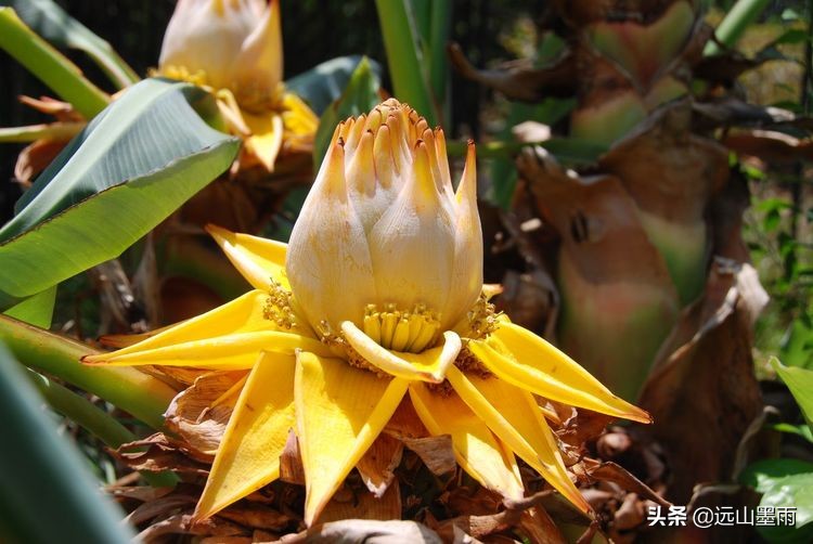 植物科学活动,第二十届公众科学日合肥