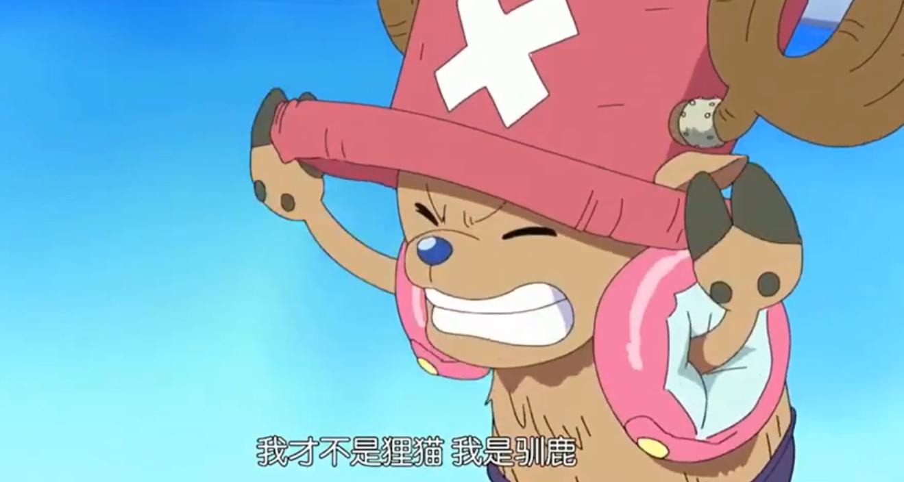 海贼王被误会的角色,海贼王乔巴的10个事件