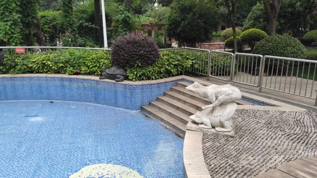 是谁给你的勇气原版视频,是谁给你的勇气歌曲