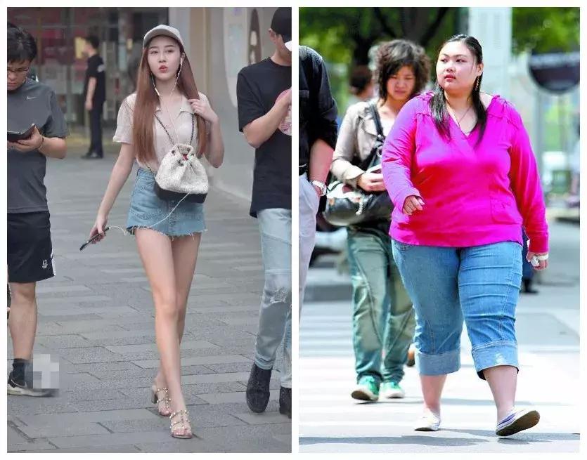 仓鼠怎么分辨一线和三线,三线仓鼠大战一线仓鼠