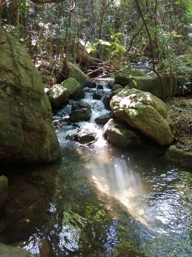 最好的中医馆运营模式,中医馆的运营之路