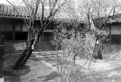 鲁迅月薪300大洋在当下值多少钱,鲁迅月工资多少相当于现在多少