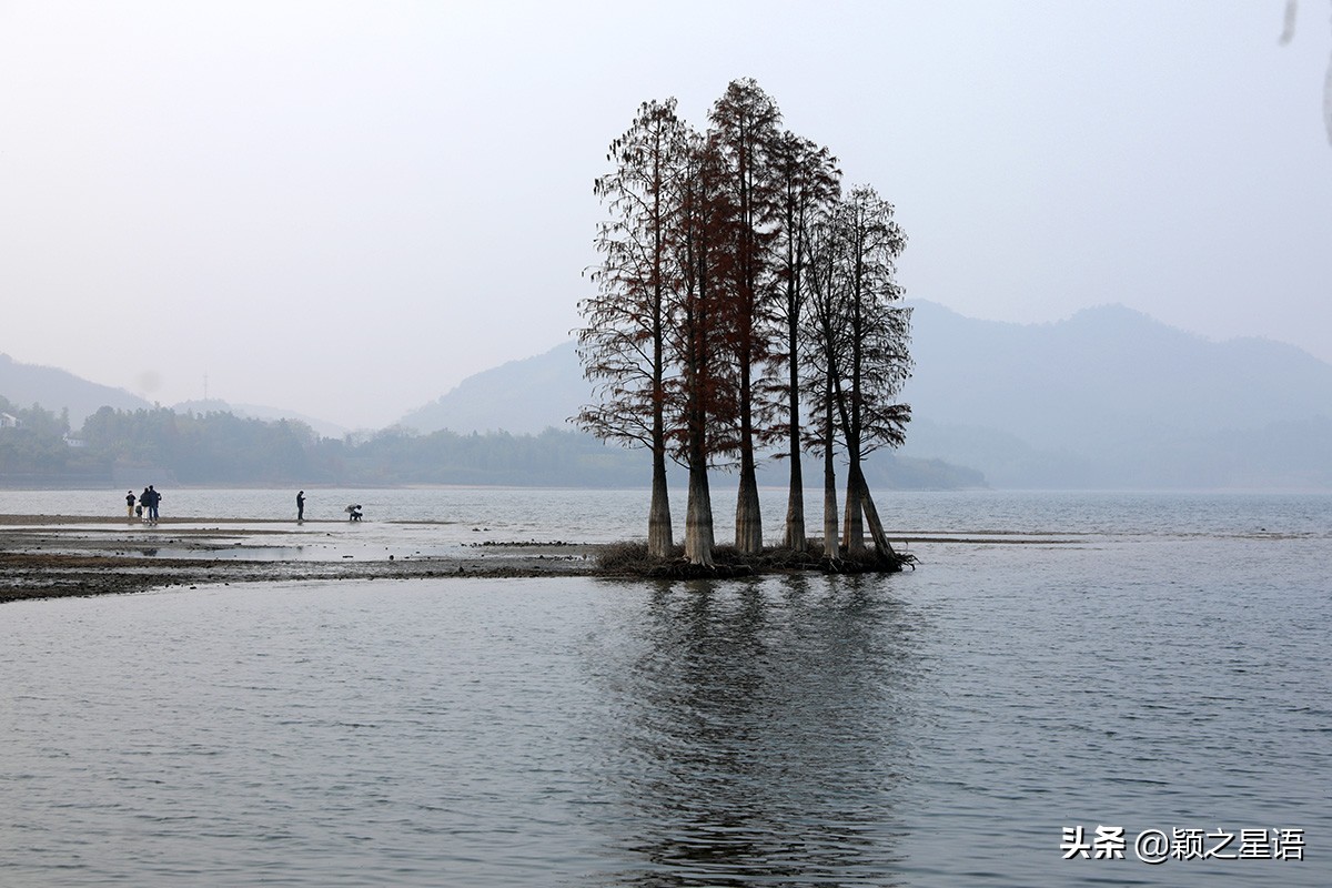 浣水桥在哪里,玉兔岛海滨风景