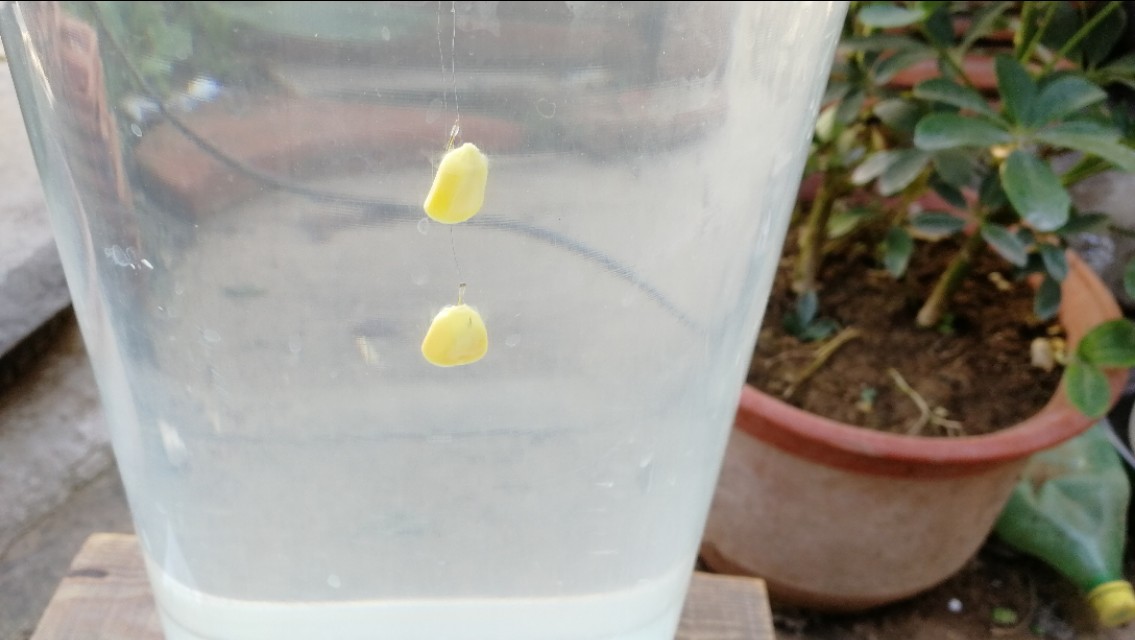 钓浮的调漂的正确方法图解,钓浮调漂的正确方法与技巧